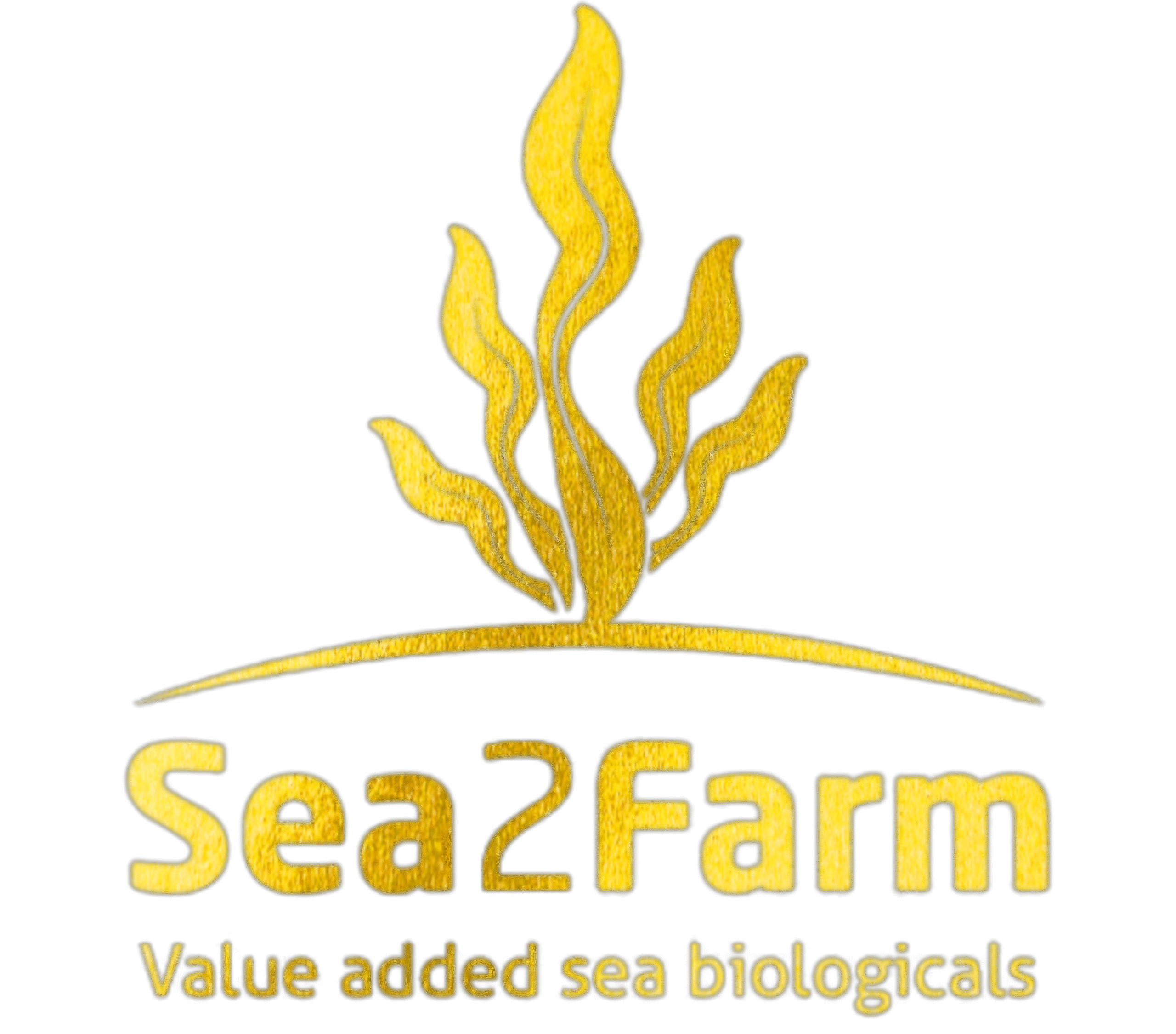 sea to form